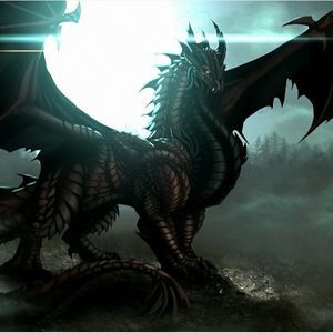 Meet your Posher, Francisco